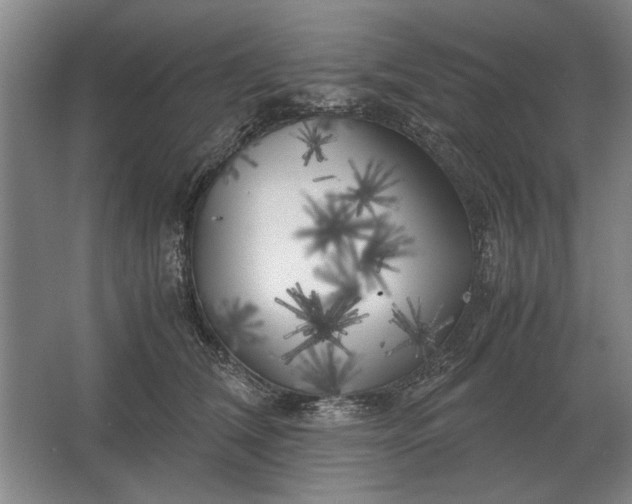 X0000062920612200601271807