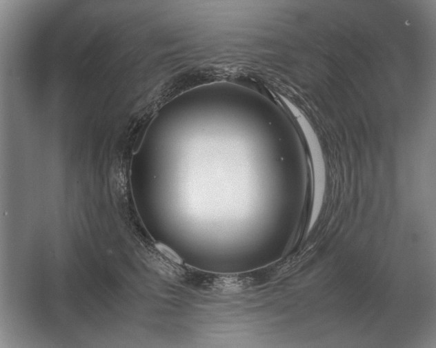 X0000062920613200601271807