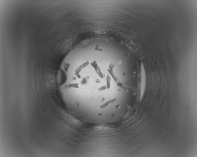 X0000062920614200601271807