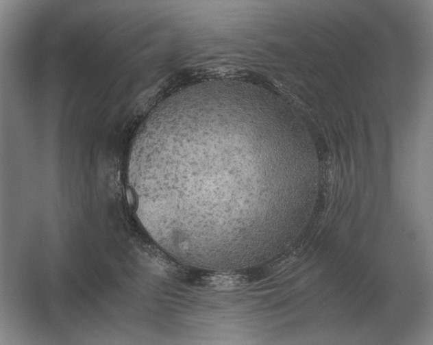 X0000062920615200601271807