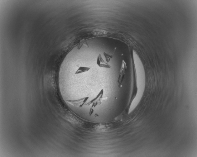 X0000062920616200601271807