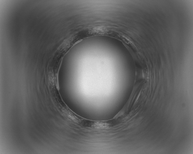 X0000062920617200601271807