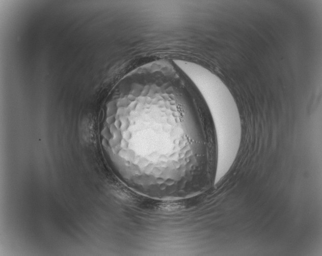 X0000062920619200601271807