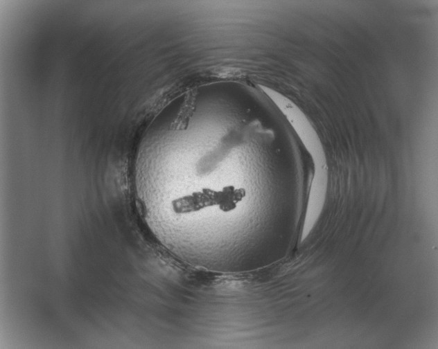 X0000062920620200601271807