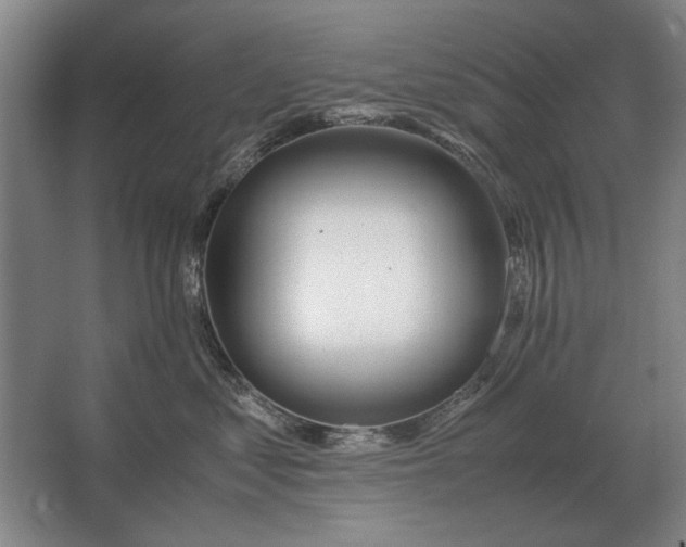 X0000062920621200601271807