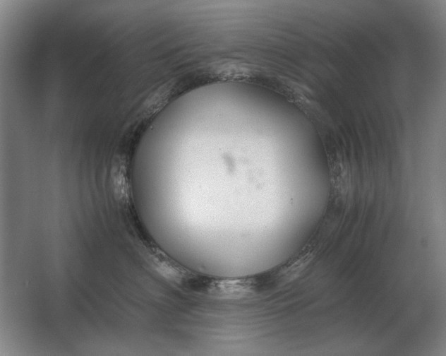 X0000062920622200601271807