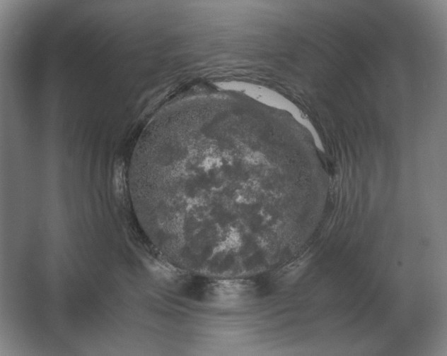 X0000062920623200601271807