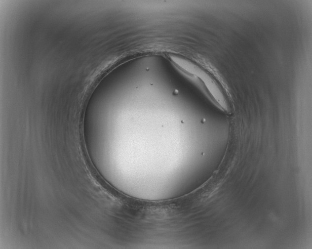 X0000062920625200601271806