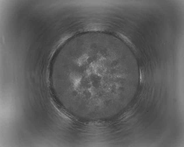 X0000062920627200601271806