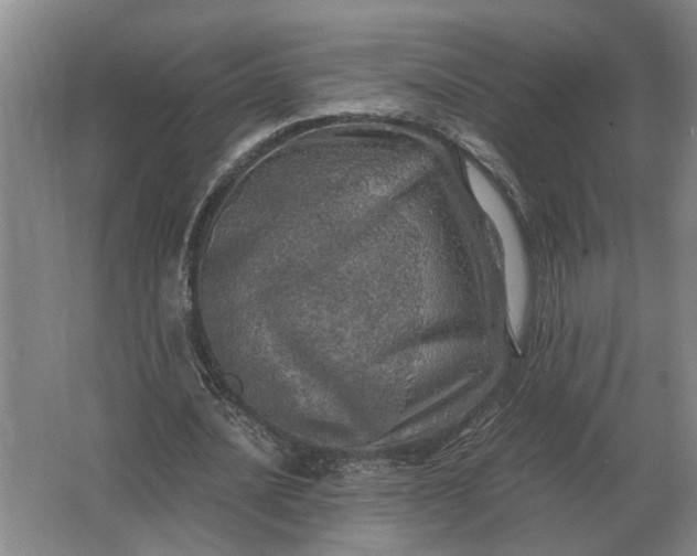 X0000062920628200601271806