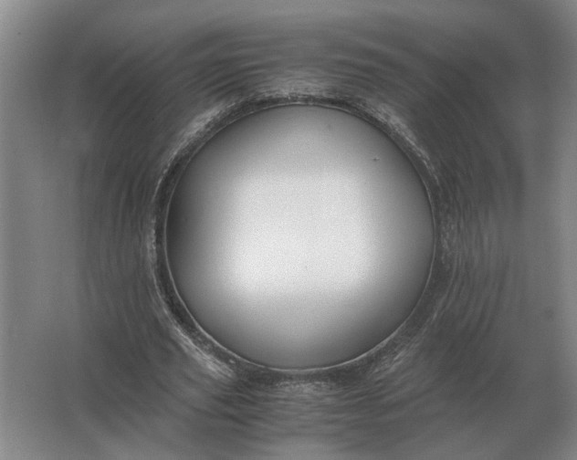 X0000062920629200601271806