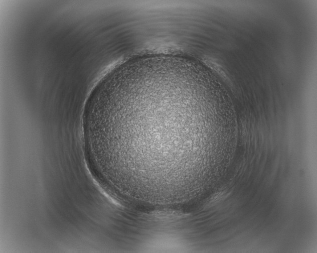 X0000062920630200601271806