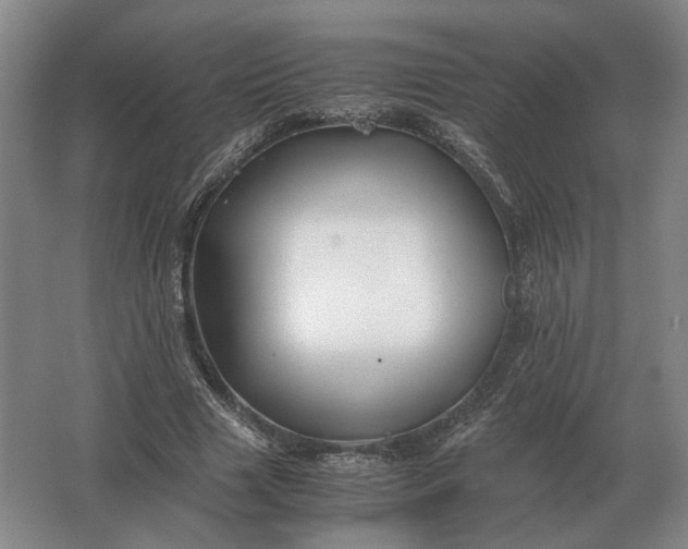 X0000062920633200601271806