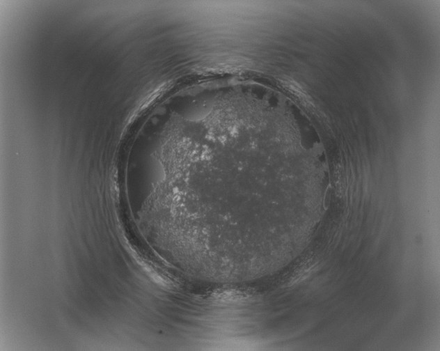 X0000062920634200601271806