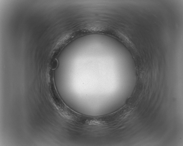 X0000062920635200601271806