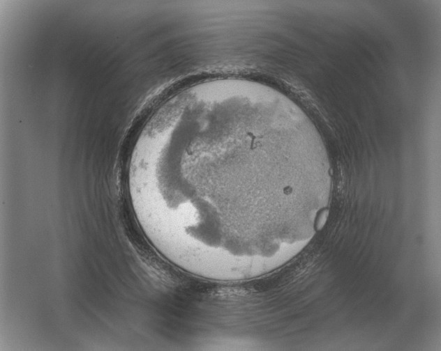 X0000062920636200601271806