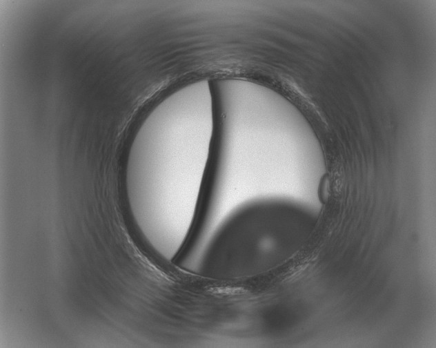 X0000062920637200601271806