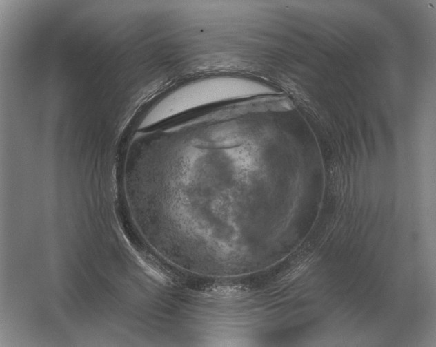 X0000062920638200601271806