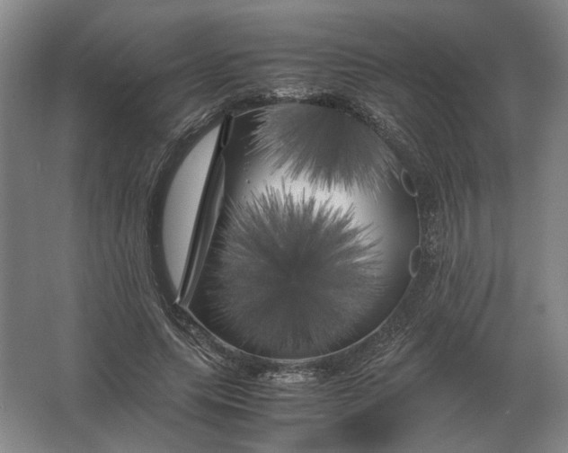 X0000062920639200601271806