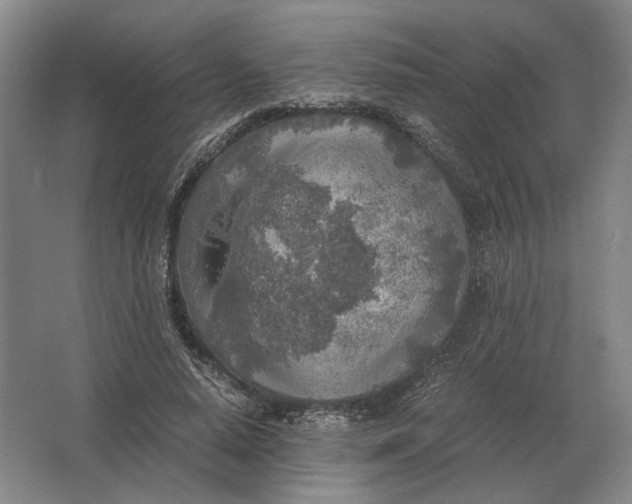 X0000062920640200601271806