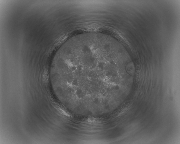 X0000062920641200601271806