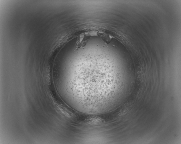 X0000062920642200601271806