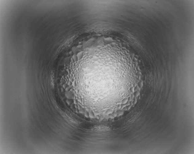 X0000062920644200601271806