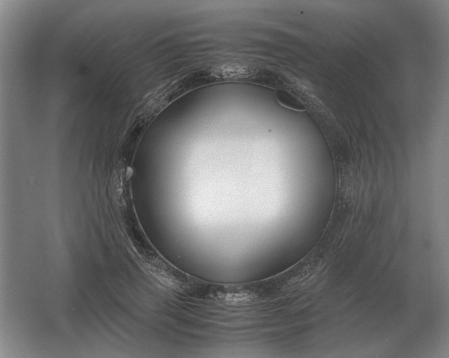 X0000062920645200601271806