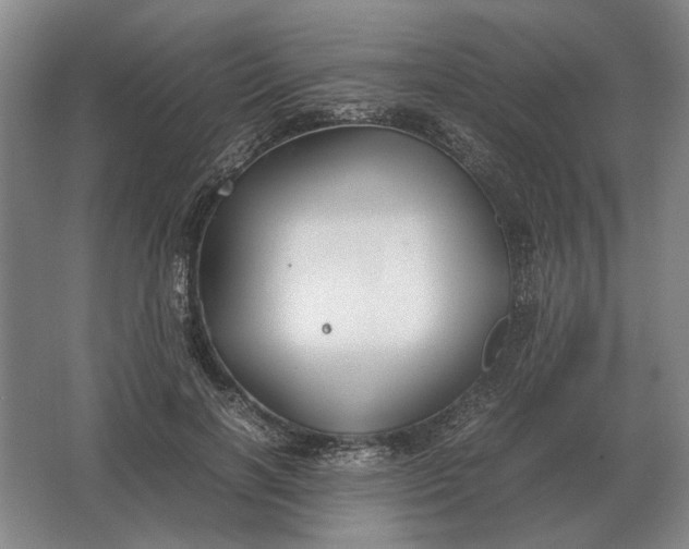 X0000062920646200601271806