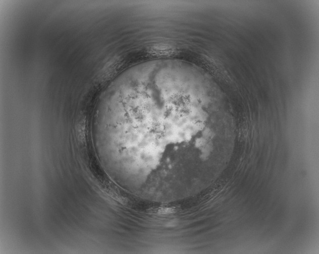 X0000062920647200601271806