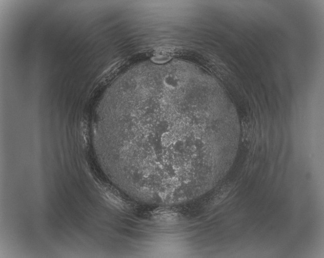 X0000062920648200601271806