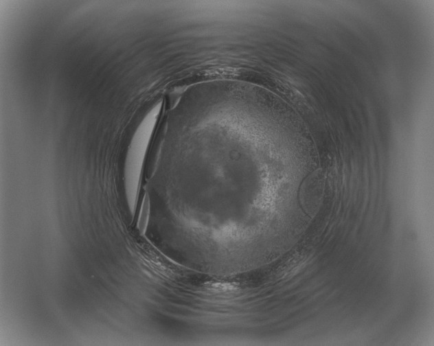 X0000062920649200601271806