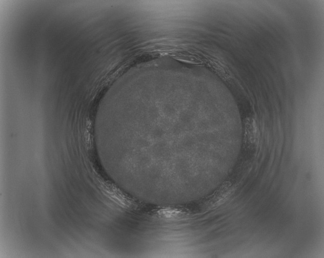 X0000062920650200601271806