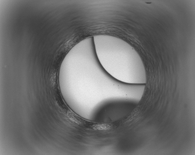 X0000062920652200601271806