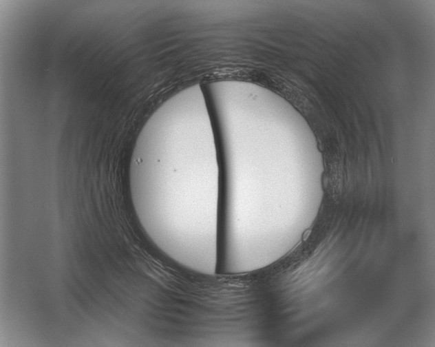 X0000062920653200601271806