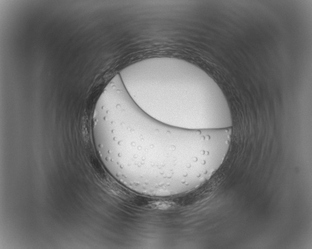 X0000062920654200601271806