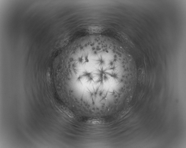 X0000062920655200601271806