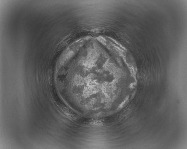 X0000062920656200601271806