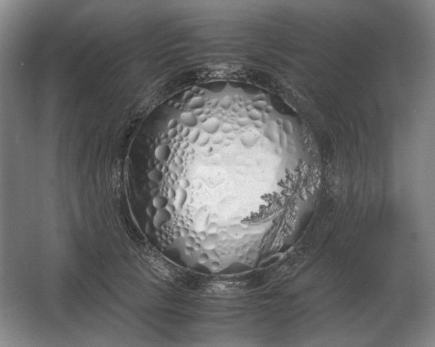 X0000062920657200601271806