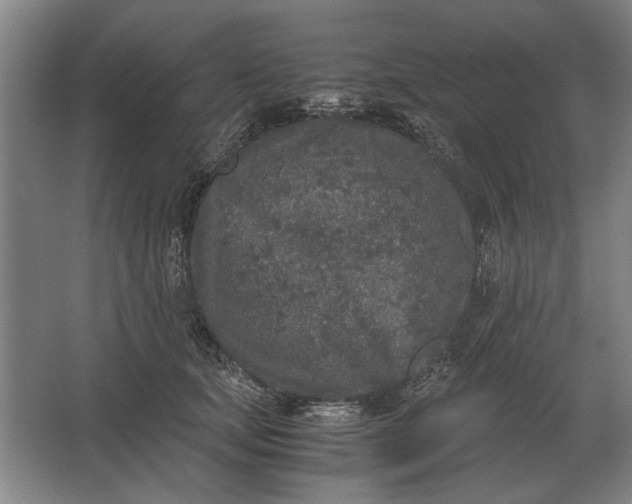 X0000062920659200601271806