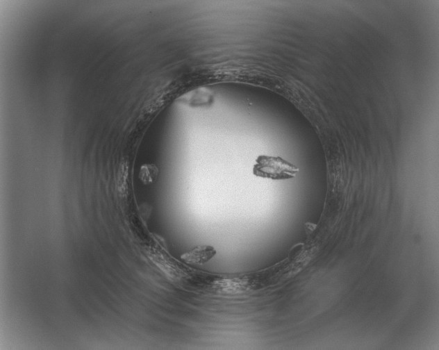 X0000062920660200601271806