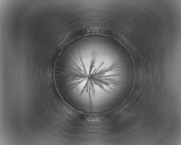 X0000062920661200601271806