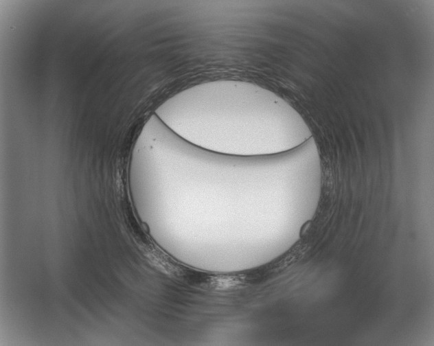 X0000062920662200601271807