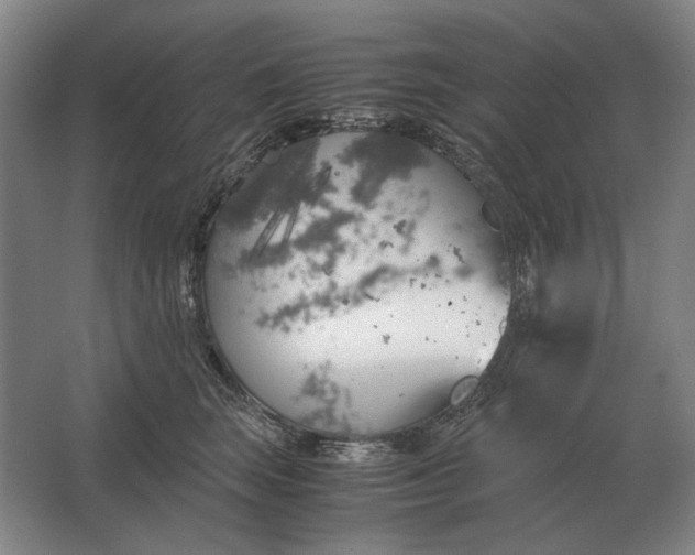 X0000062920663200601271807