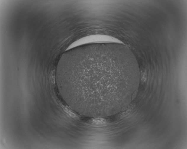 X0000062920666200601271807