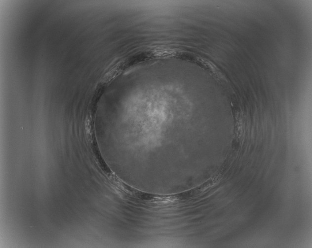 X0000062920667200601271807