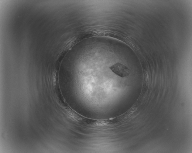 X0000062920668200601271807