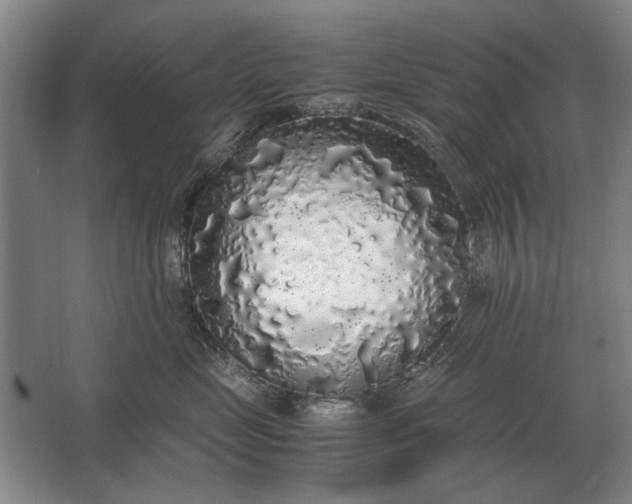 X0000062920669200601271807