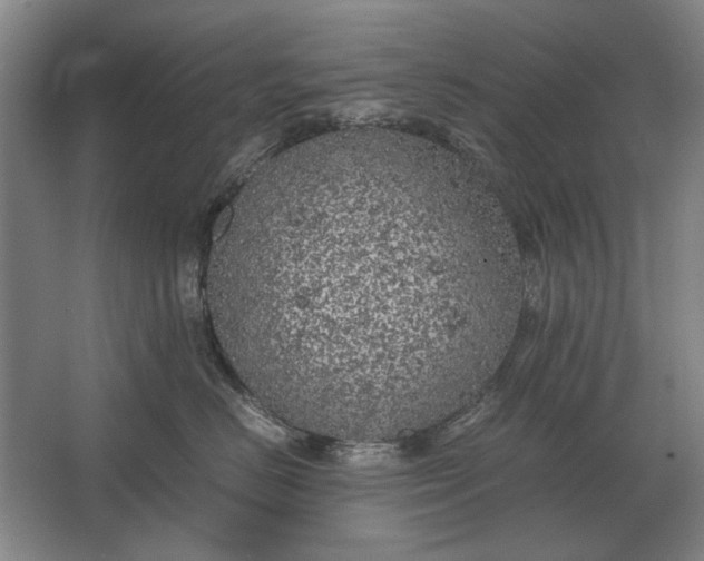 X0000062920670200601271807