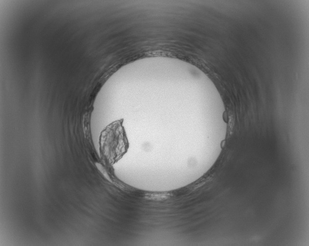 X0000062920671200601271807